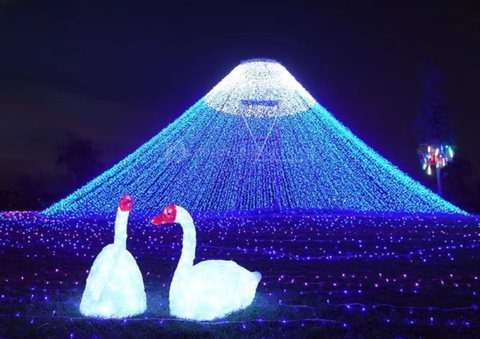 Goose Christmas decoration light by JKPARKRIDES