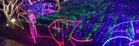 Fish Christmas decoration light by JKPARKRIDES