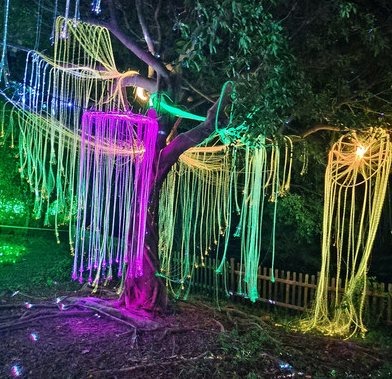 Tree-Hung Fibre Optic Christmas decoration light by JKPARKRIDES