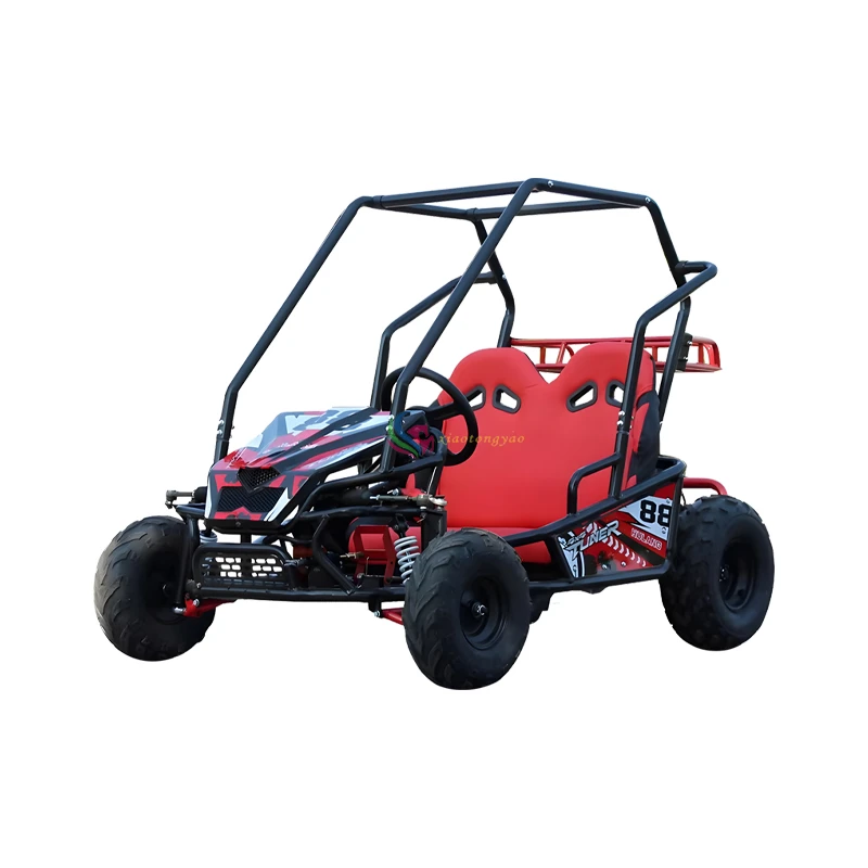 2-Seater Electric Go-Kart — additional view of the equipment