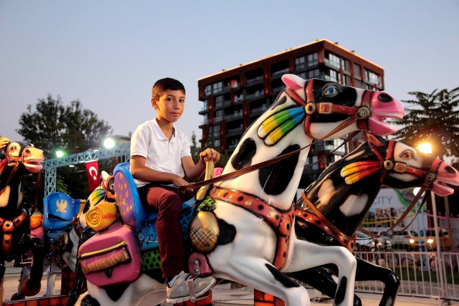 Horse Train — seat or equipment detail