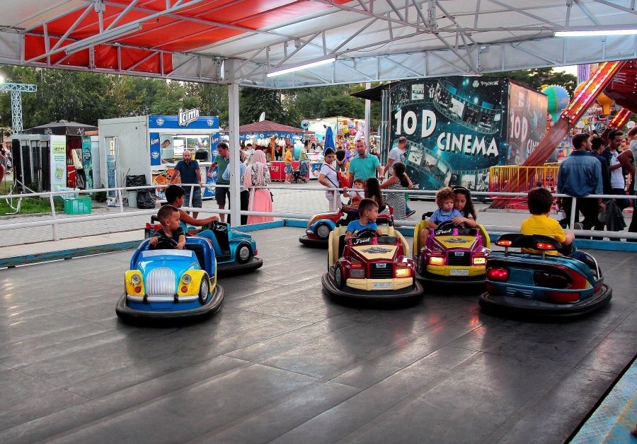 Mini Bumper Cars — overall equipment view