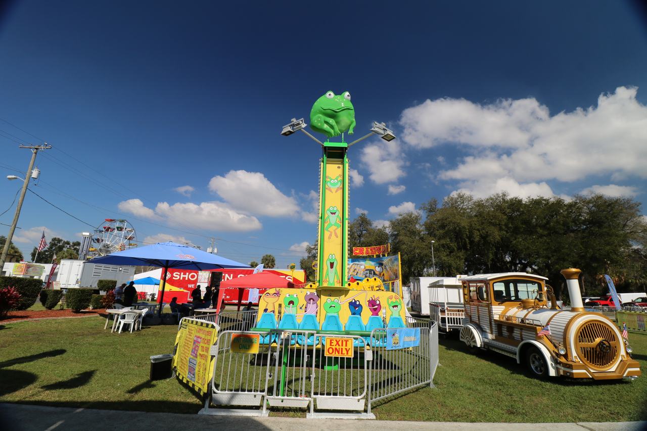 Frog Prince Drop Tower — outdoor drop tower custom