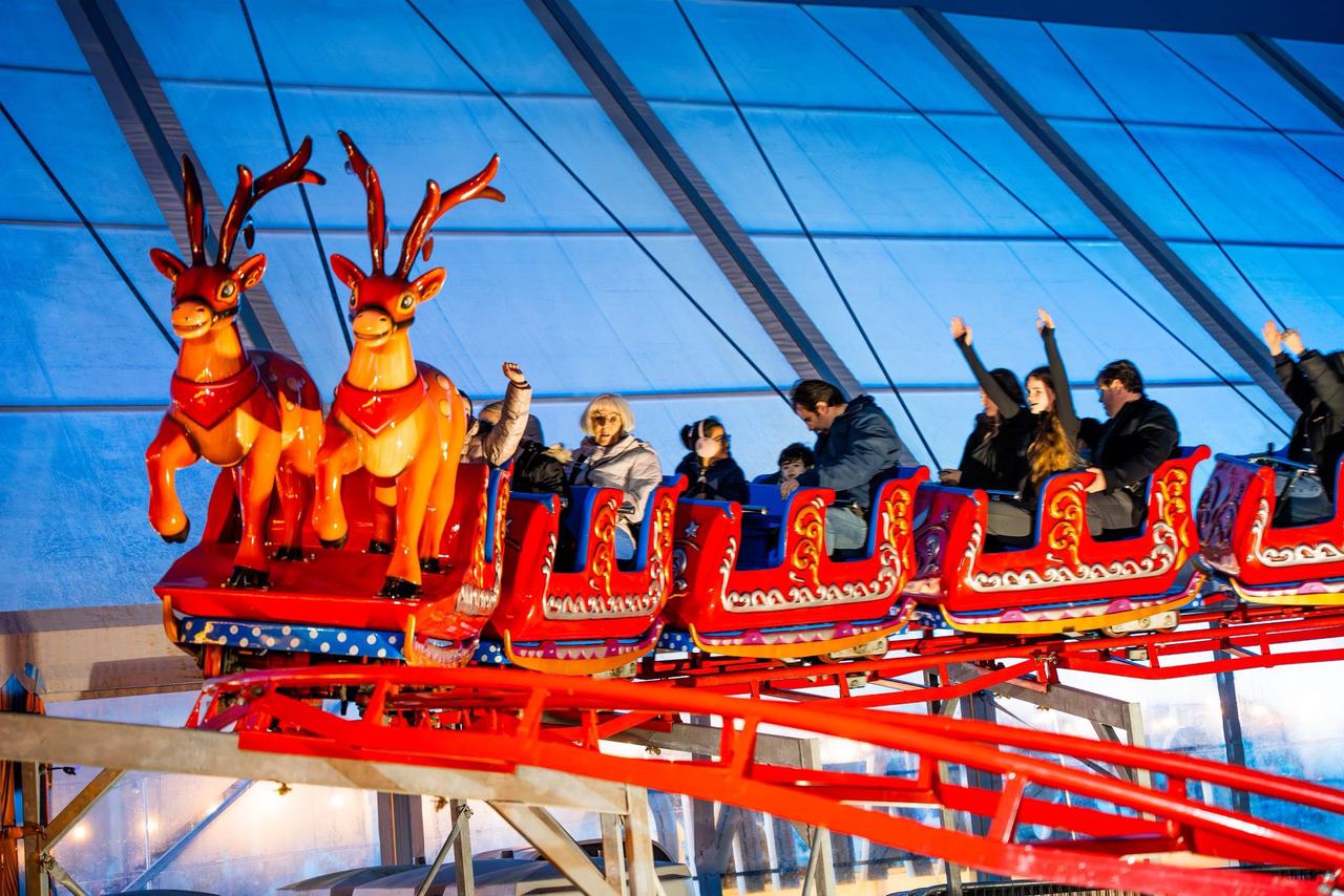 Roller Coaster — equipment and project view