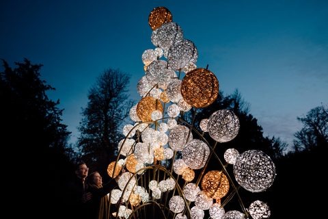 JKPARKRIDES Organic Motifs lighting