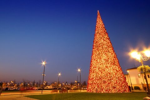 Giant Trees from the JKPARKRIDES Light Greenery range
