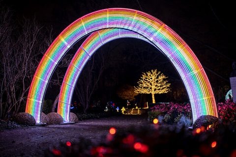 RGB from the JKPARKRIDES Animated Light range